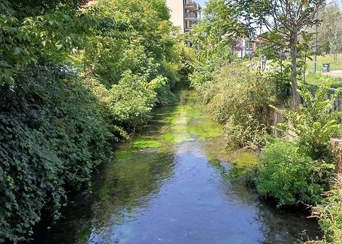 住宿加早餐酒店 Olympic 3*