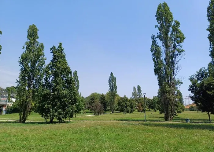住宿加早餐酒店 Olympic